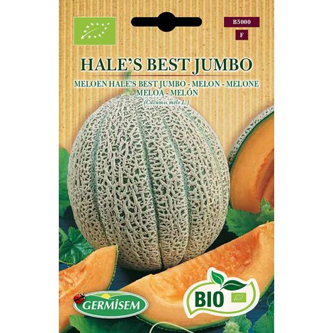Graines Melon HALE'S BEST JUMBO