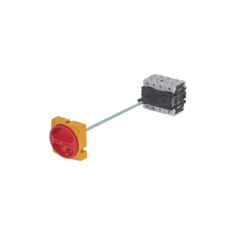 Interrupteur-sectionneur rotatif complet saillie avec commande rompue cadenassable tétrapolaire 100A LEGRAND 022157