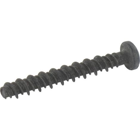 Vite BRIGGS ET STRATTON 690700