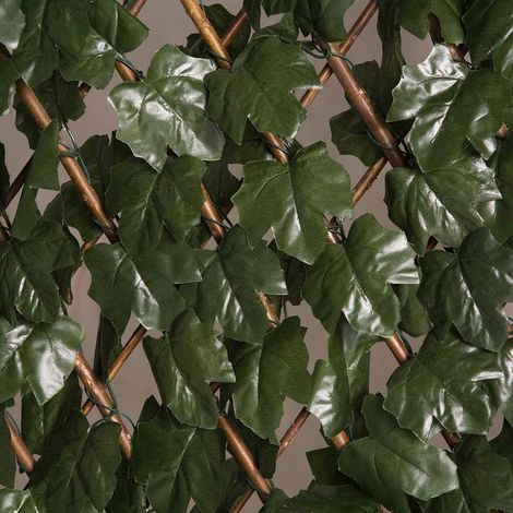 CELOSIA EXTENSIBLE CON HOJAS BASIC 1X2 M (1/6)