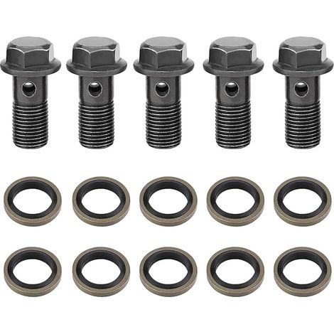 Motorcycle Brake Banjo Bolt, M10x1.25 M10x1.0 Banjo Bolt and Washers Kit for Brake Caliper and Master Cylinder (1/5)
