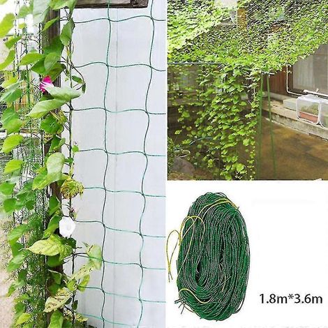 Filet de support pour plantes grimpantes à larges mailles (1,8 x 3,6 m) (1/5)