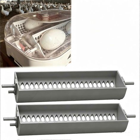 Plateau à œufs gris compatible incubateur MaticoopX 20 support grand format pour œufs d'oie canard et dinde