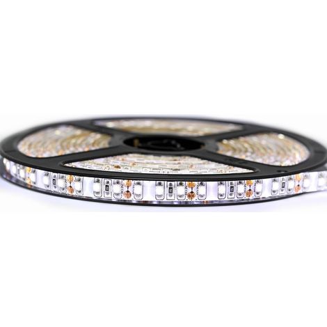 Kit Ruban Professionnel 3528 - 120 leds/m - 5 mètres Blanc froid anti-éclaboussure (IP65) Longueur: 5 mètres - Transformateur: Alimentation Non-Inclus
