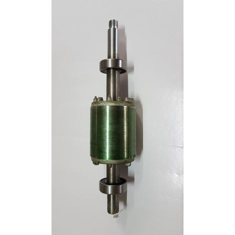 Set rotore completo di cuscinetto WP16000