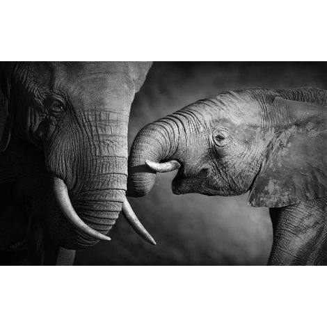 Tableau tendresse maman elephant et son elephanteau , 80x50cm (1/5)