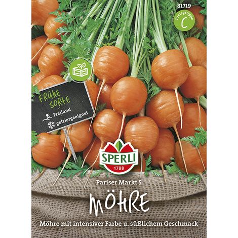 Sperli – Carotte Pariser Markt 5 (Daucus carota) – Graines de légumes, ronde, précoce, hauteur env. 30 cm (1/2)