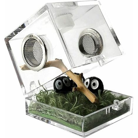 Boîte d'alimentation d'insectes boîte d'élevage de Reptile acrylique transparent pour araignée Scorpion scarabée mante religieuse Terrarium bâton boîte à insectes (1/5)