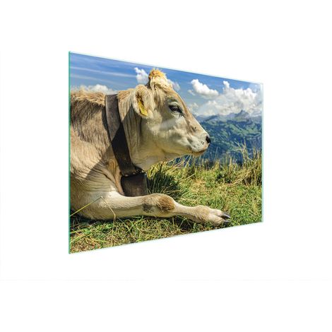 TABLA DE CORTAR DE VIDRIO 40x30 VACA (1/5)