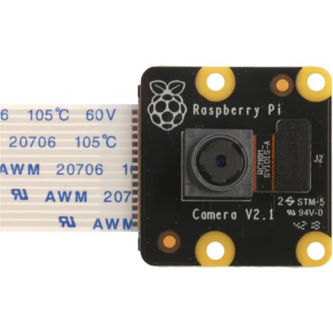 Raspberry Pi Pinoir Camera Module V2.1 Cámara Multicolor