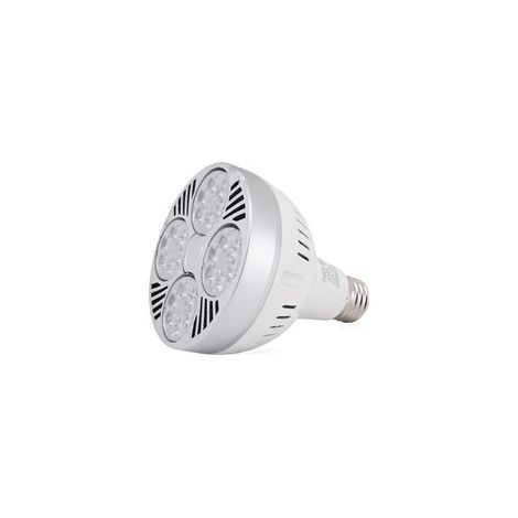 ampoule led e27 35W AC220V équivalent à 100w spot Warm White