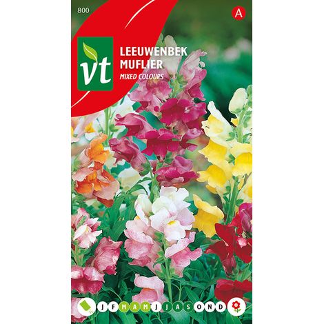 Muflier Nain - Ca. 0,4 gr (Livraison Gratuite) (1/2)