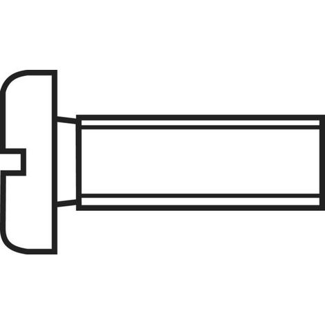 TOOLCRAFT 839657 Viti cilindriche M2.5 30 mm Taglio DIN 84 Acciaio zincato 100 pz.