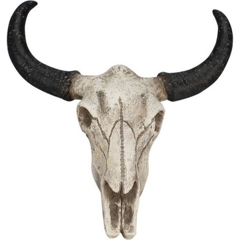 Ochsenschädel – Wandskulptur aus Kunstharz – Wohnaccessoires und Halloween-Dekoration – 23 x 22 x 6 cm – 1 Stück (1/5)