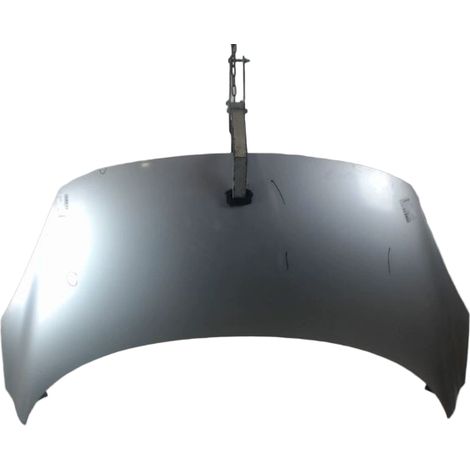 Capot RENAULT Scenic III 2009- [PRODUIT D'OCCASION]♻️651008842r (1/5)