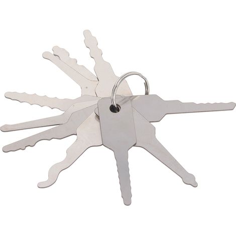 10-teiliges Set mit Haken und Plektrum – Notfall-Taschenset für die Kfz-Reparatur, robustes Set mit Haken und Plektrum für die Autowartung (1/5)