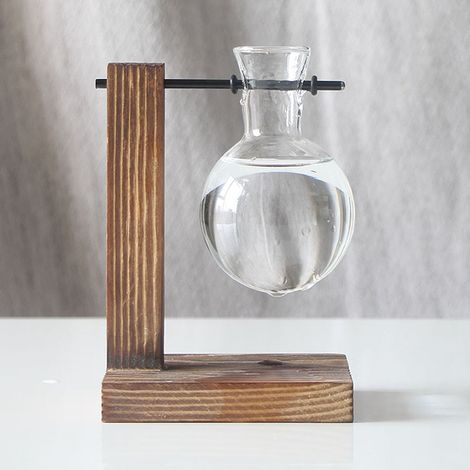 Vase hydroponique avec support en bois, station de propagation de plantes en bulbe de verre rétro pour la décoration intérieure, 1 récipient (1/5)