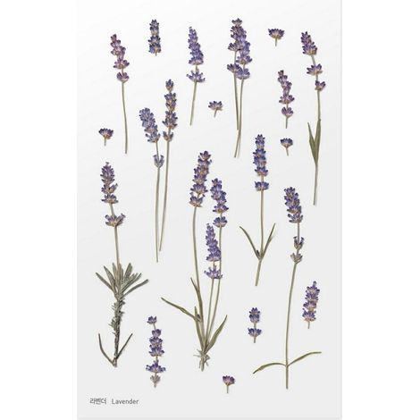 Dekorative Blumenaufkleber - Lavendel