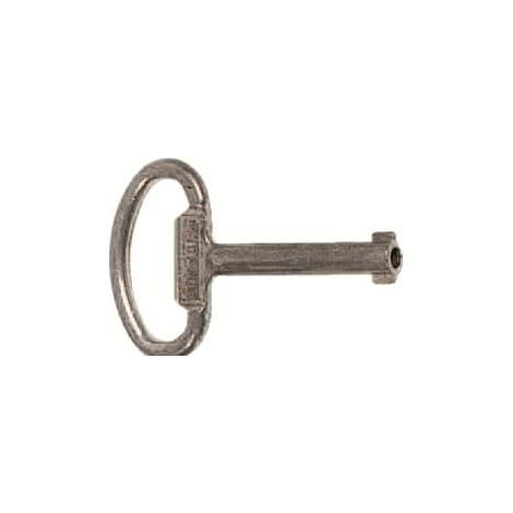 SPEE- Clé de rechange serrure double panneton 5 mm 2CPX060661R9999 ABB ZH161