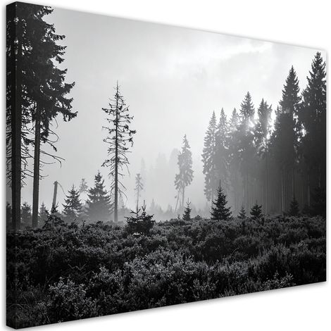 Wandbild Waldlandschaft schwarz-weiß 90x60 cm