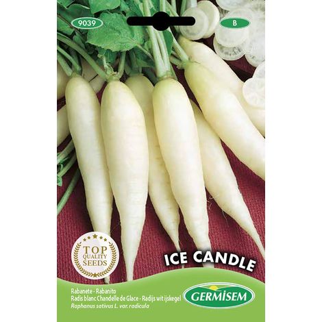 graines Radis blanc Chandelle de Glace (1/2)