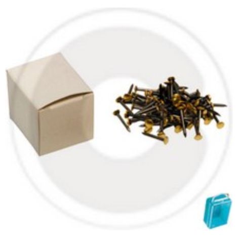 cf 100 pcs de clous en acier avec tA te en laiton clou 2x20 mm