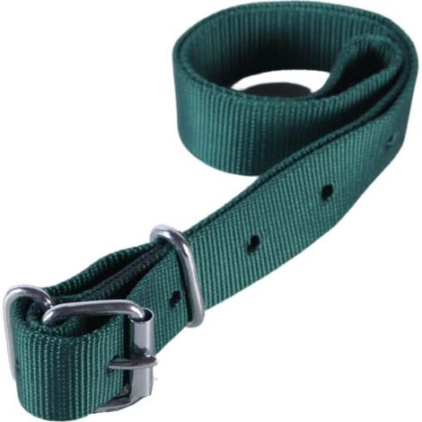 Collier en nylon pour vache pour passant d'identification vert