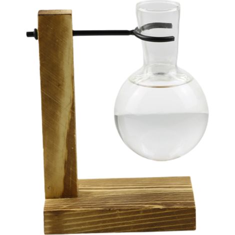 Terrarium végétal sur support bois - Bulle de verre résistante - Déco vintage minimaliste pour plantes ou arrangement floral - Cadre naturel en bois et 1 bulbe de verre borosilicate 14x10x7.5cm/5.5x4x (1/5)