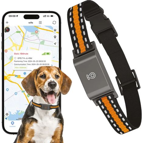 Collier traceur GPS 4G pour animaux - IP65 - Application gratuite (1/5)