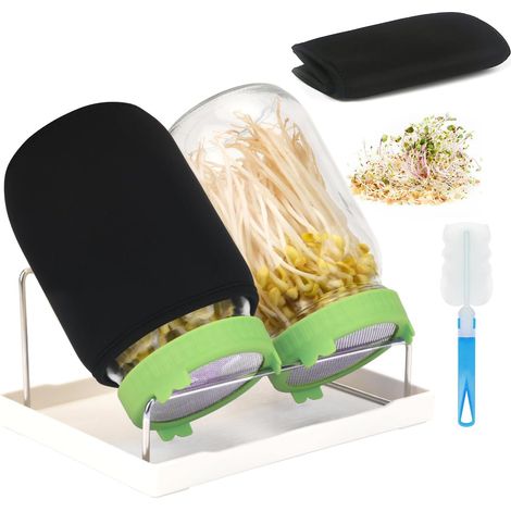 Bocal à Germes - 2 x 1000ml - Verre Borosilicate et Inox - Kit Germination Complet avec Support - Pour Cuisine Saine - Vert