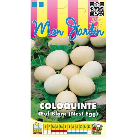 Coloquinte Oeuf Blanc (Nest Egg) - 3g