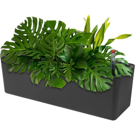 40cm Selbstbewässerung Blumentopf Rechteckig Rattanoptik mit Wasserstandsanzeige (1/5)