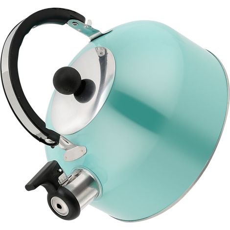 Bouilloire siffleuse en inox fond plat théière 3 L grand volume pour cuisinière à induction (1/4)