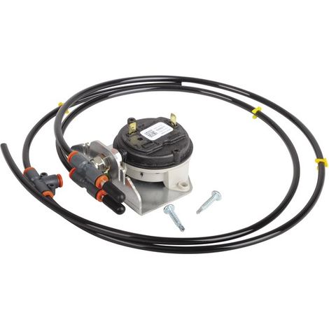 Interruptor de control del aire  - AOSMITH : 0309169(S)