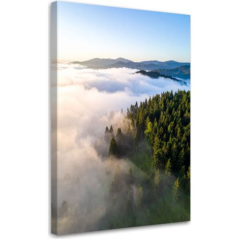 Stampe su Tela, Paesaggio bosco montagne nella nebbia, 20x30 (1/5)