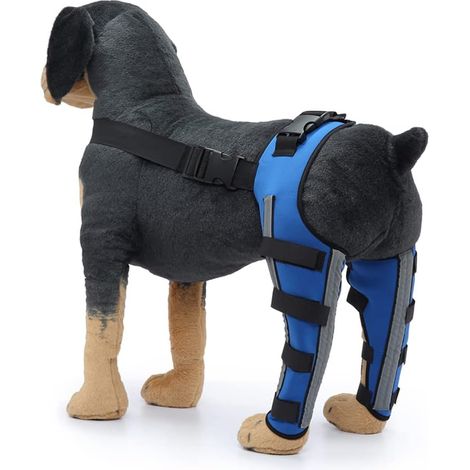 Ginocchiera regolabile per cani, tutore doppio per zampe posteriori, cerniere in metallo, supporto flessibile, imbracatura riflettente, legamento crociato anteriore (LCA), blu L (1/5)