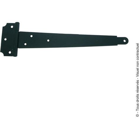AFBAT Charnière Universelle Acier Pour Porte, L.100 X L.55 Mm