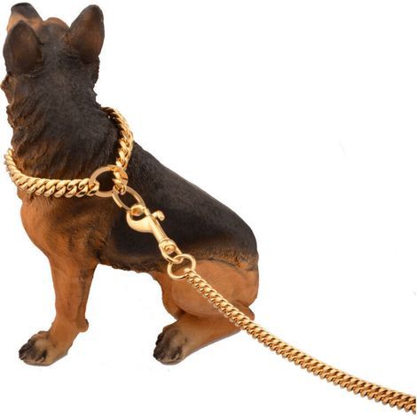Laisse pour chien en chaîne métallique 10 mm avec poignée rembourrée – Or – Pour chiens de taille moyenne (1/3)