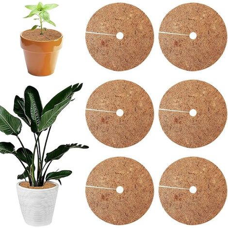 Tapis De Coco Plantes, 6 Pièces 30 Cm Protection en Noix De Coco pour Plantes en Pot, Disque Paillage Tapi Coco Plante, Disque De Protection Plante, Tapis De Noix De Coco Disque Paillis Pot (1/5)