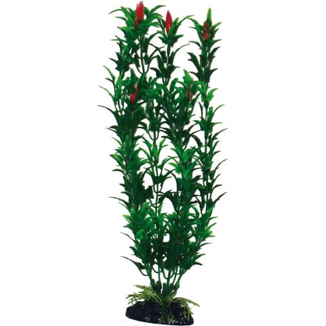 Set 6 pezzi Plant Classic Egeria Flowers Bicolou Small (1/2)