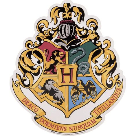 Blason en carton Ecole des sorciers Poudlard Harry Potter 61 x 48 cm (1/5)