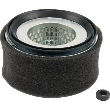 Filtro de aire LOMBARDINI 2175252
