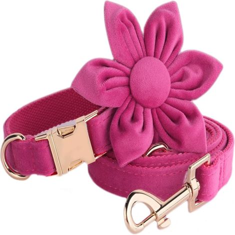 Halsband- und Leinen-Set mit Blumenmuster für Hündinnen, weiches und bequemes verstellbares Halsband für Welpen kleiner, mittlerer und großer Rassen