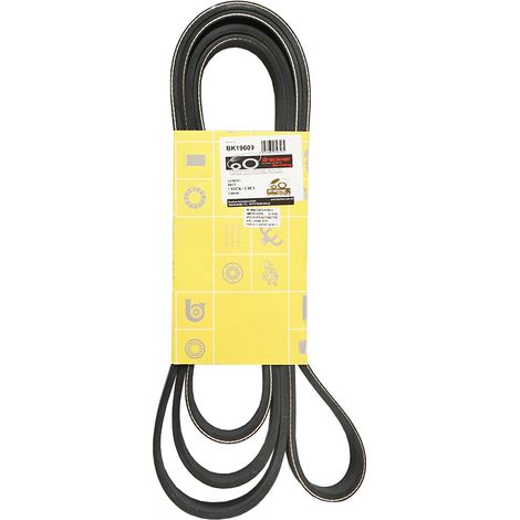 Cinghia ventola 8PK2515 L=2515mm l=28x5mm 8 scanalature per Case IH 504078066 (1/3)