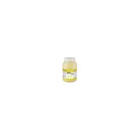 Champú Fruit of the groomer de jengibre y sauco 3 litros Oferta exclusiva