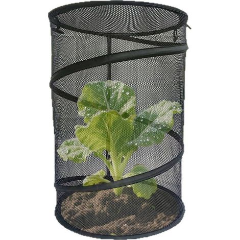 Housse de protection pop-up rectangulaire pliable 100x30cm couleur sable, barrière contre insectes oiseaux et gel avec 4 piquets (1/4)