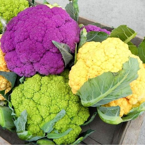 300 graines de chou-fleur, violettes/jaunes/vertes, mélange de variétés, sans OGM, convenant à la culture de légumes en intérieur et en extérieur. (1/5)