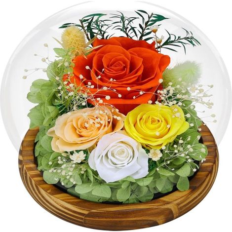 Caja de regalo con flores preservadas: cúpula de cristal esférica con tira de LED integrada un regalo práctico para cumpleaños y San Valentín. Modelo 1