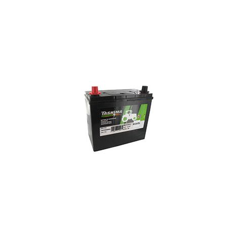 Batteria al piombo Tashima Pb Ca/ca, senza manutenzione, per rasaerba a guida autonoma 12V, 45A. L: 235, L: 128, H: 225mm, + a sinistra con morsetto