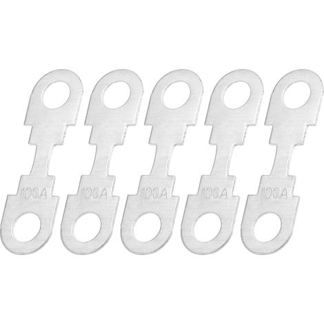 Fusibles À Bande Haute Intensité 100A 12V 5Pcs Pour Audio Voiture (1/5)